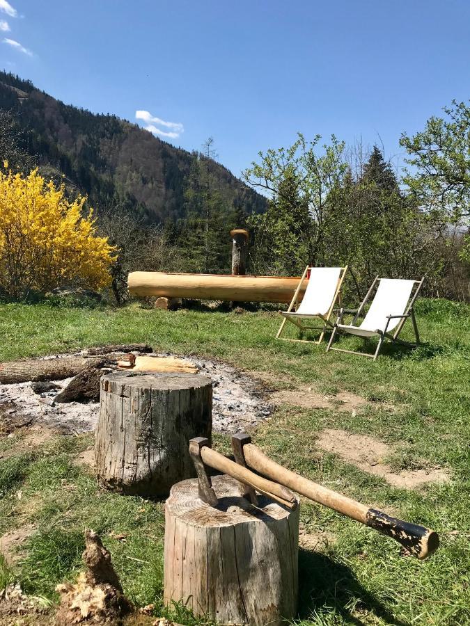 Charmante Gaestewohnung In Altem Bauernhaus In Alpiner Alleinlage Stanz Im Murztal Exteriér fotografie