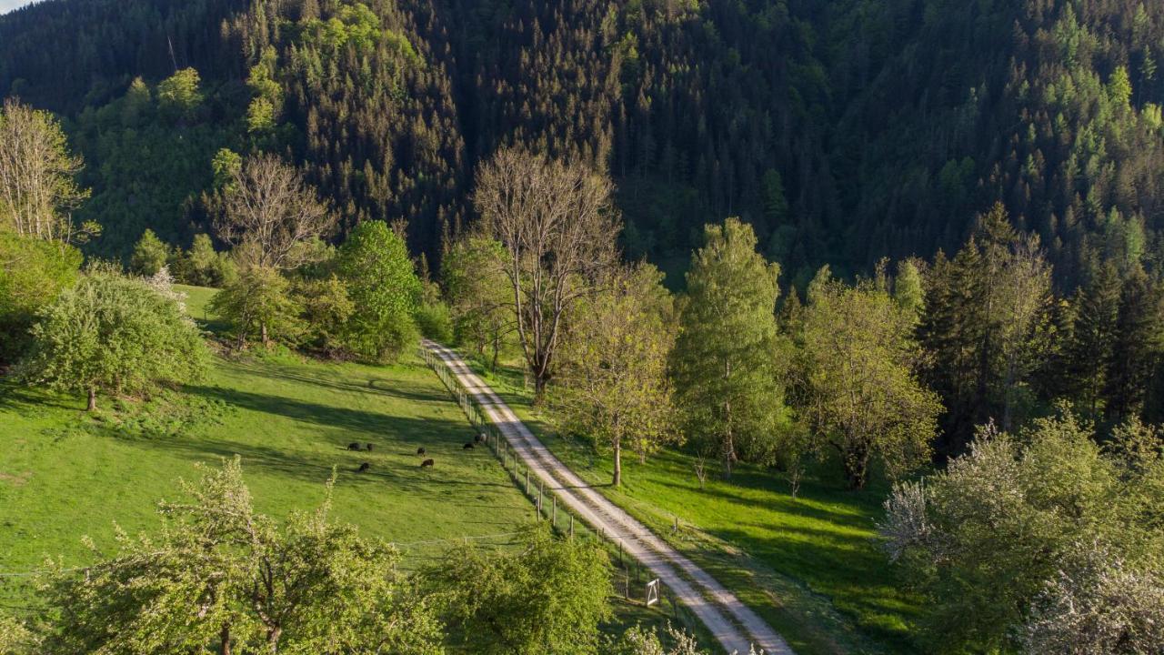 Charmante Gaestewohnung In Altem Bauernhaus In Alpiner Alleinlage Stanz Im Murztal Exteriér fotografie